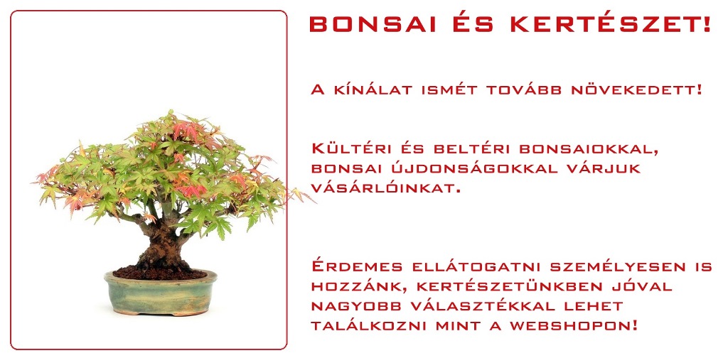 bonsai szoba bonsai es kulteri bonsaj alapanyag es kesz noveny vasarlas rendeles erd marczika bonsai studio hungary bonsai webshop webaruhaz